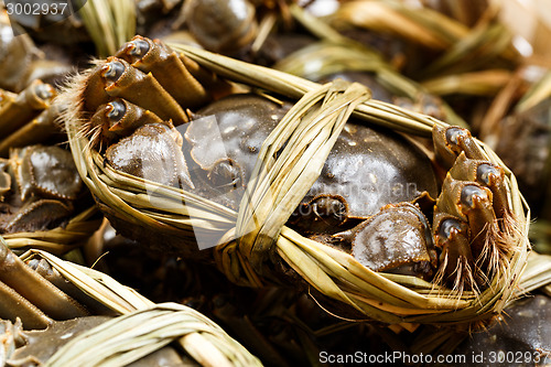 Image of Chinese crabs