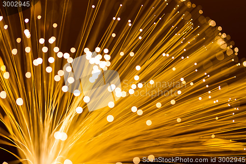 Image of Optical fibre in golden color