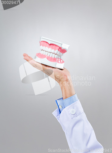 Image of Dentist hold with denture