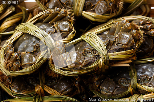 Image of Hairy crabs