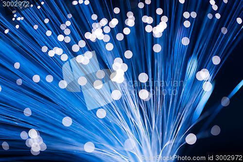 Image of Fiber Optics 