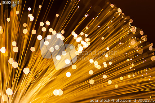Image of Golden fibre optic strands