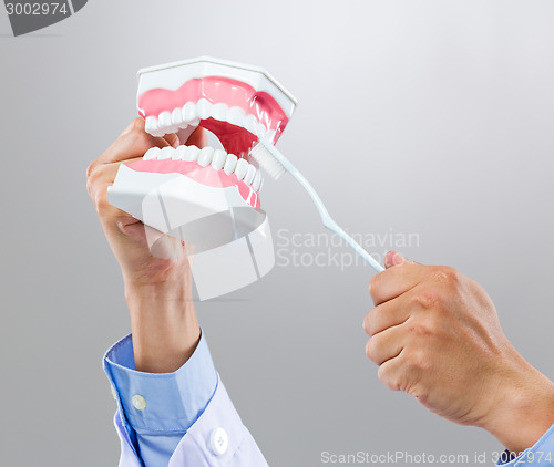 Image of Dentist hold with denture and toothbrush