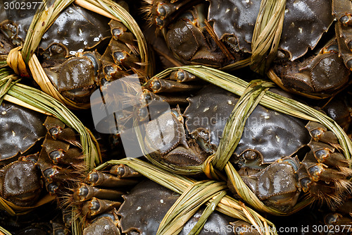 Image of Yangcheng Lake hairy crabs