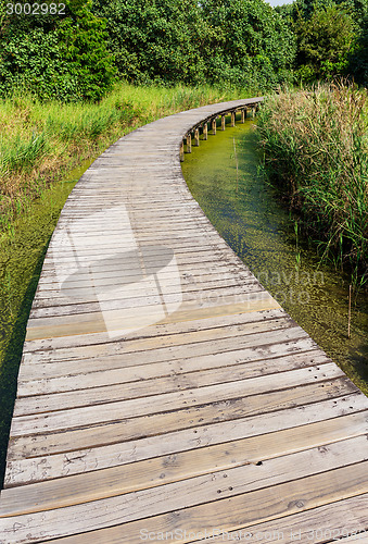 Image of Wooden bridge for walk