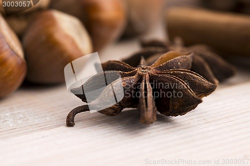 Image of Different kinds of spices, nuts and dried oranges - christmas de