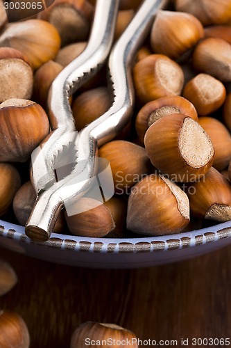 Image of Hazelnuts