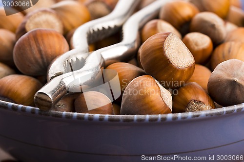 Image of Hazelnuts