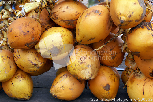 Image of Coconuts