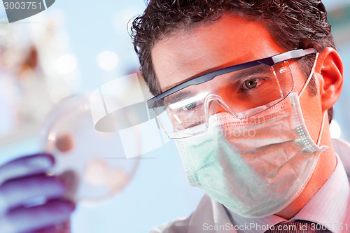 Image of Scientist observing petri dish.