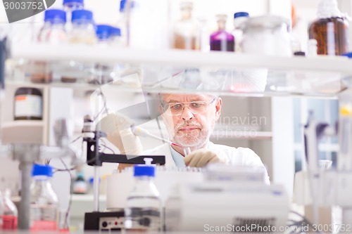 Image of Life scientist researching in the laboratory.