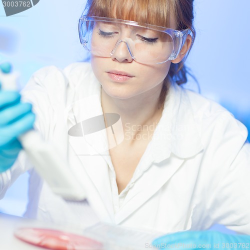 Image of Attractive young scientist pipetting.