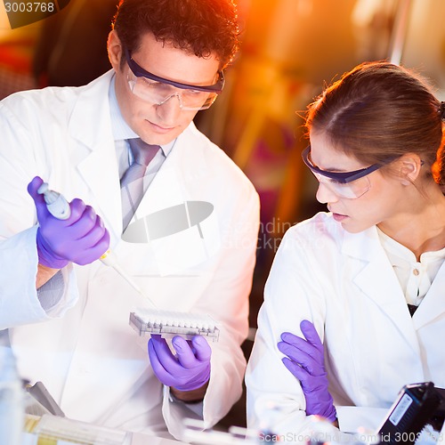 Image of Scientist pipetting.