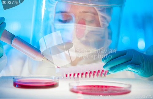 Image of Working in the laboratory with a high degree of protection