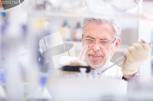 Image of Life scientist researching in the laboratory.