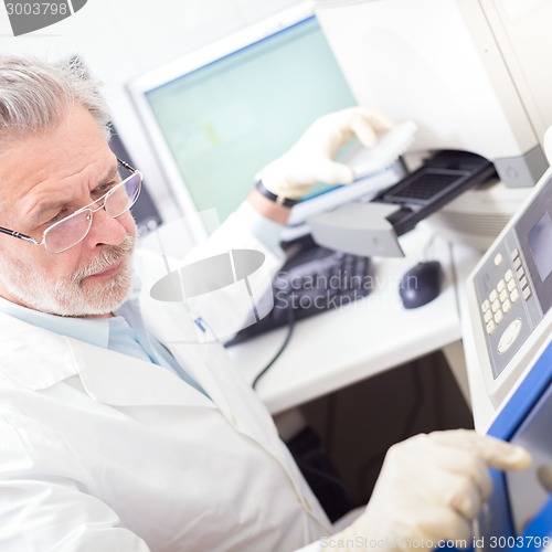 Image of Life scientist researching in the laboratory.