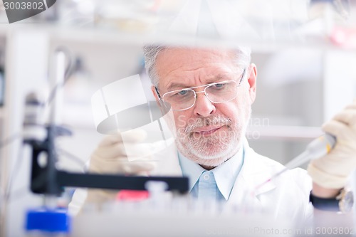 Image of Life scientist researching in the laboratory.