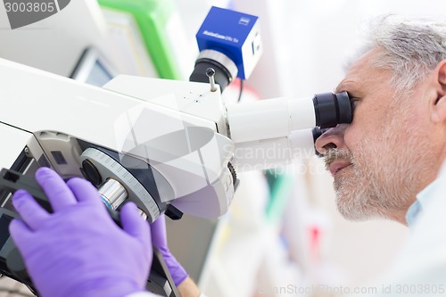 Image of Senior scientist  microscoping in lab.