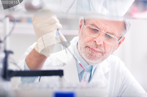 Image of Life scientist researching in the laboratory.