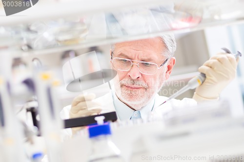 Image of Life scientist researching in the laboratory.