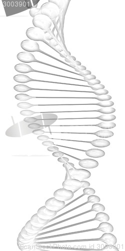 Image of DNA structure model 
