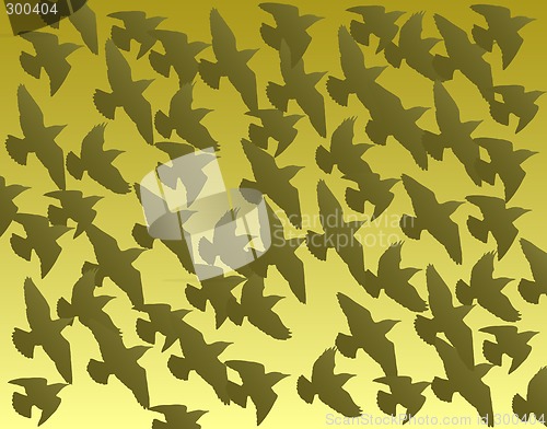 Image of Flock