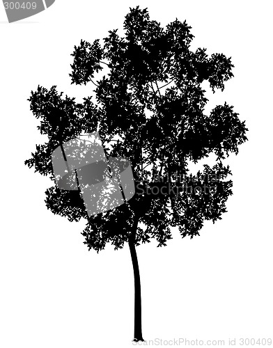 Image of Generic tree