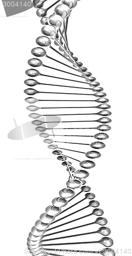 Image of DNA structure model 