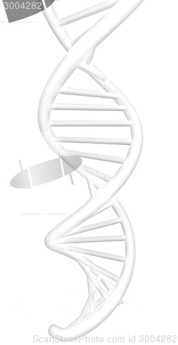 Image of DNA structure model