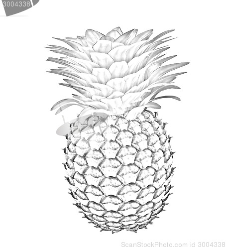 Image of pineapple