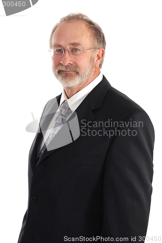 Image of Senior Businessman