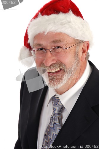 Image of Businessman Christmas