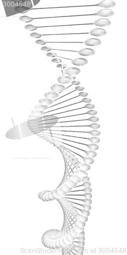 Image of DNA structure model 