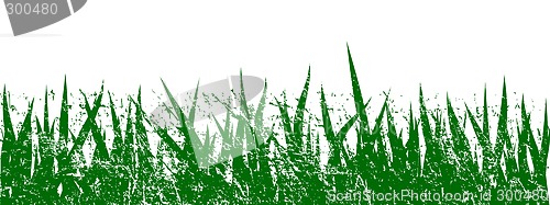 Image of Grass grunge