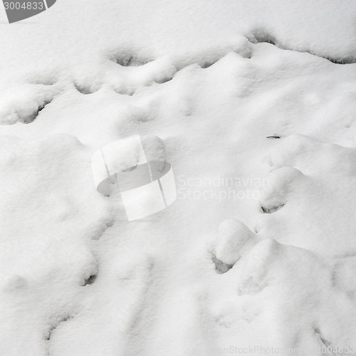 Image of snow background texture
