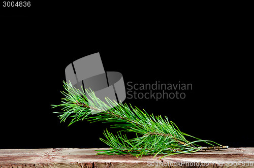 Image of Pine tree twig decoration