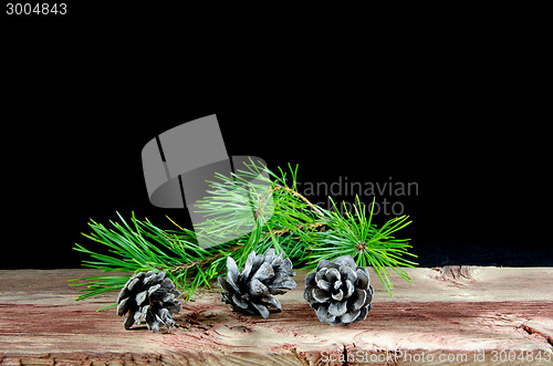 Image of Pine tree cones and a twig