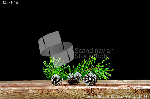 Image of Pine tree cones and twigs