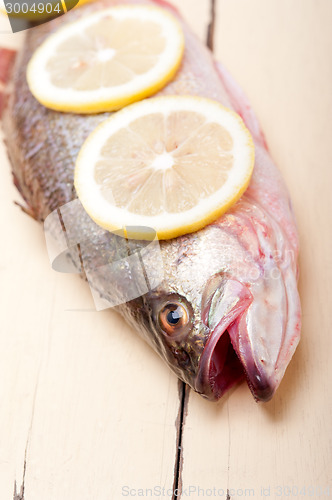 Image of fresh whole raw fish