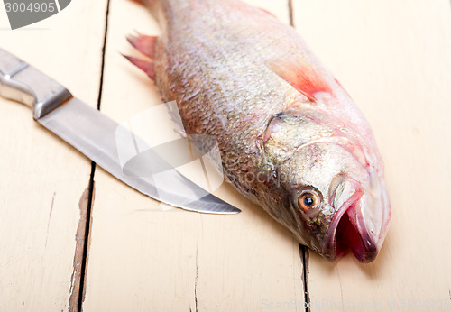 Image of fresh whole raw fish