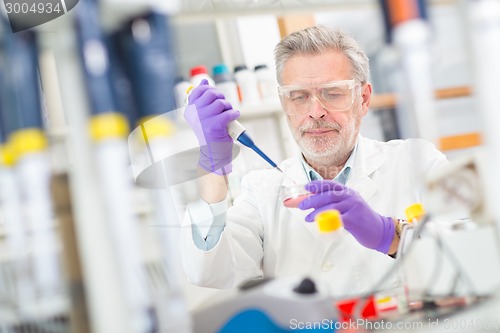 Image of Life scientist researching in the laboratory.