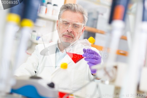 Image of Life scientist researching in the laboratory.