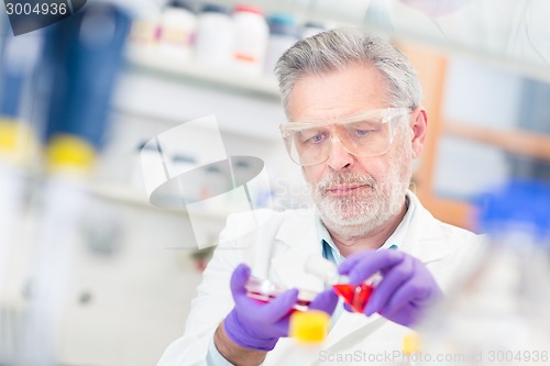 Image of Life scientist researching in the laboratory.