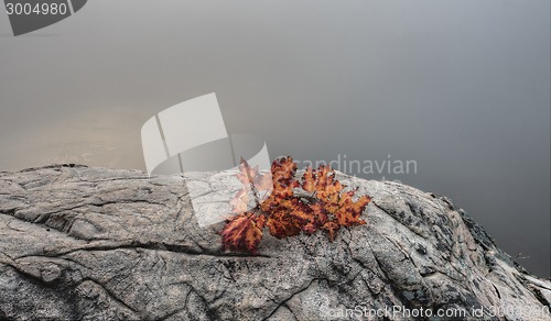 Image of Lake in Autumn sunrise reflection