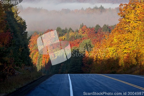 Image of Autumn Colors and road 