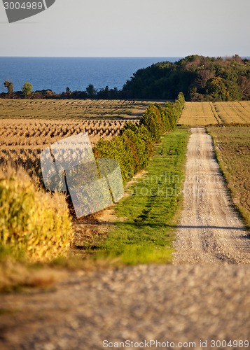 Image of Rural Country scene on Lake Erie