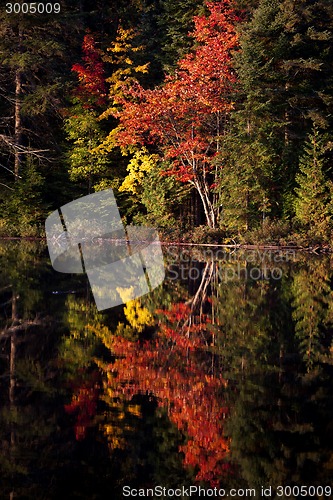 Image of Lake in Autumn sunrise reflection