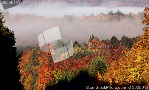 Image of Autumn Colors and road 