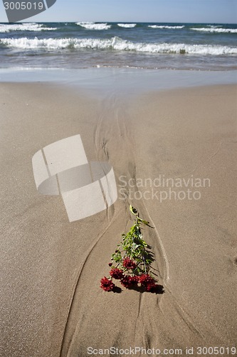 Image of Shoreline Lake Huron