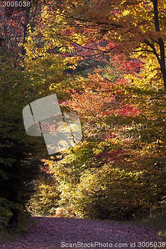 Image of Lake in Autumn